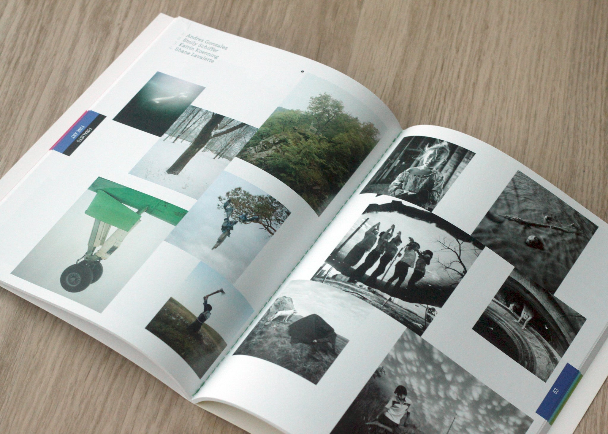 NYPH Journal:  The Future of Contemporary Photography